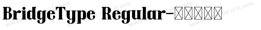 BridgeType Regular字体转换